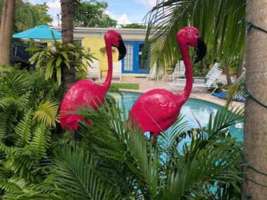 Calypso Inn Wilton Gay Male Resort
