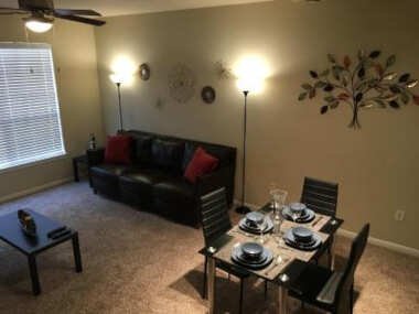 Cozy Apartment near the Houston Medical Center