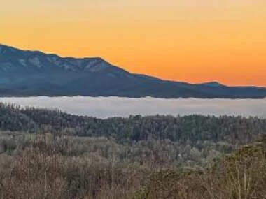 Morning Vista