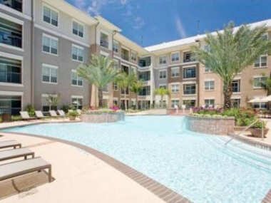 Allen’s oasis