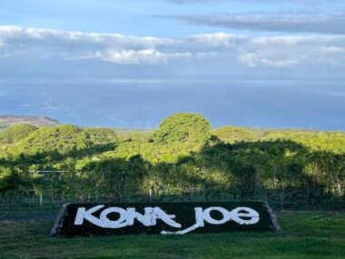 Haukea at Kona Joe Coffee Farm