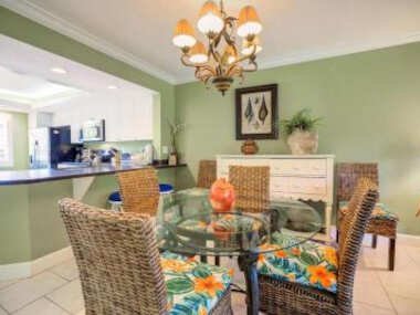 Loggerhead 261