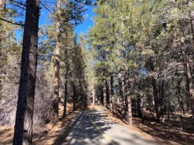 Summit Condo – Luxury condo, walk to the slopes!