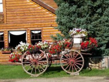 Daven Haven Lodge & Cabins